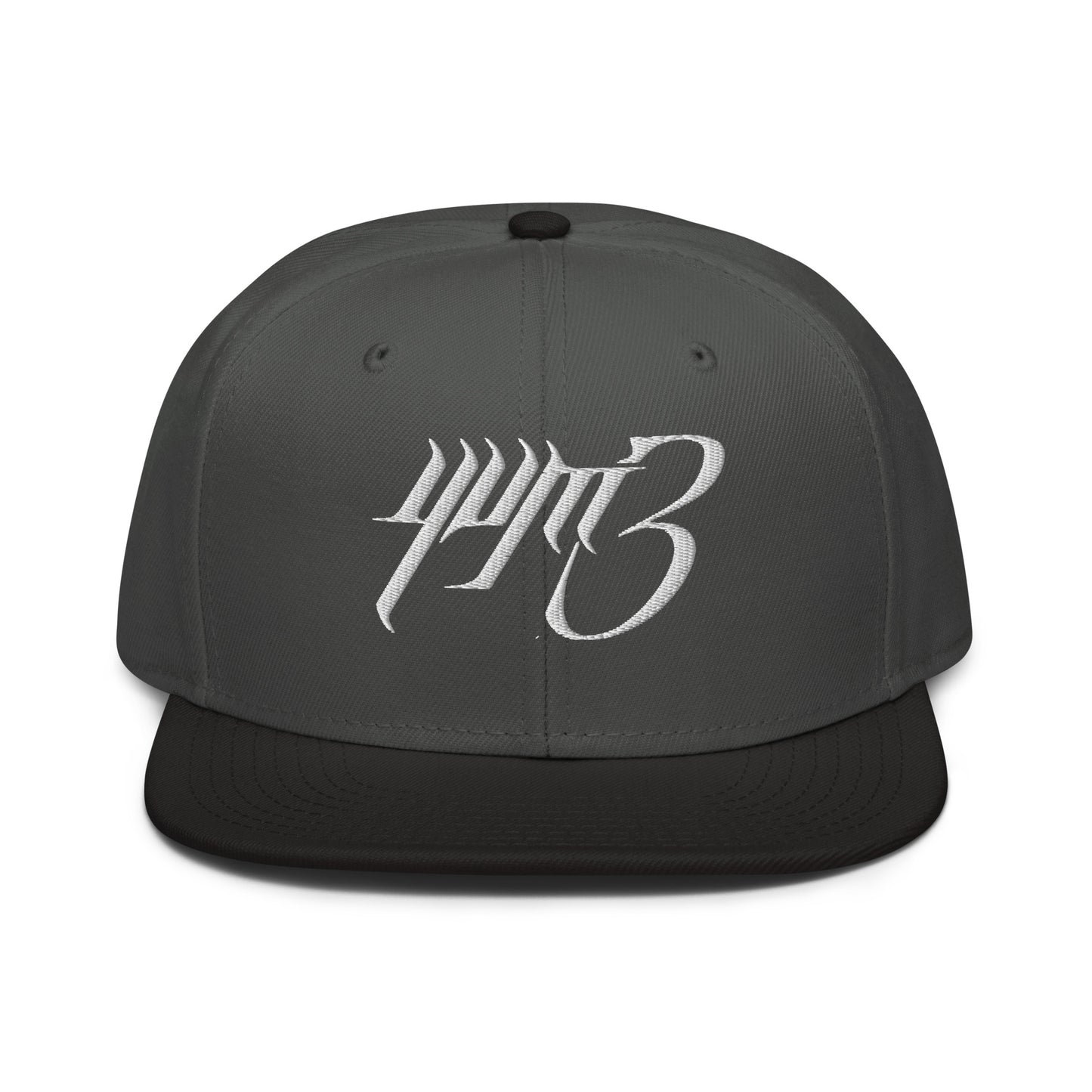 yvm3 embroidered snapback hat
