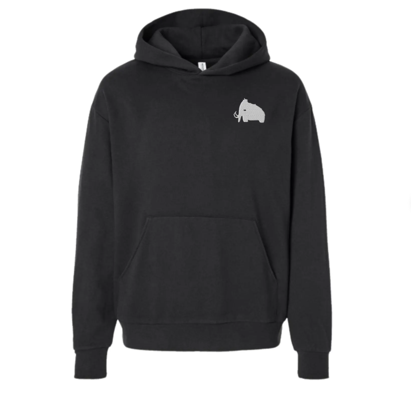 wooli embroidered unisex hoodie