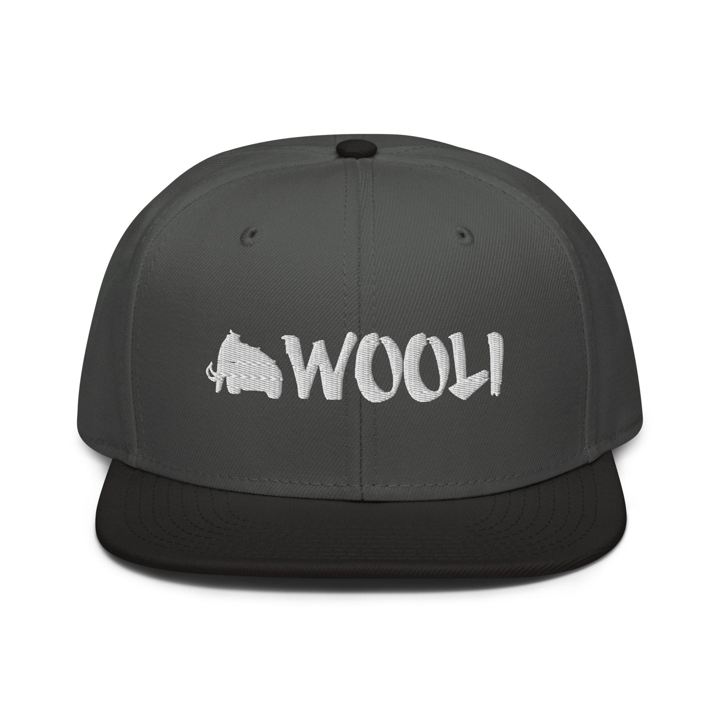 wooli embroidered snapback hat