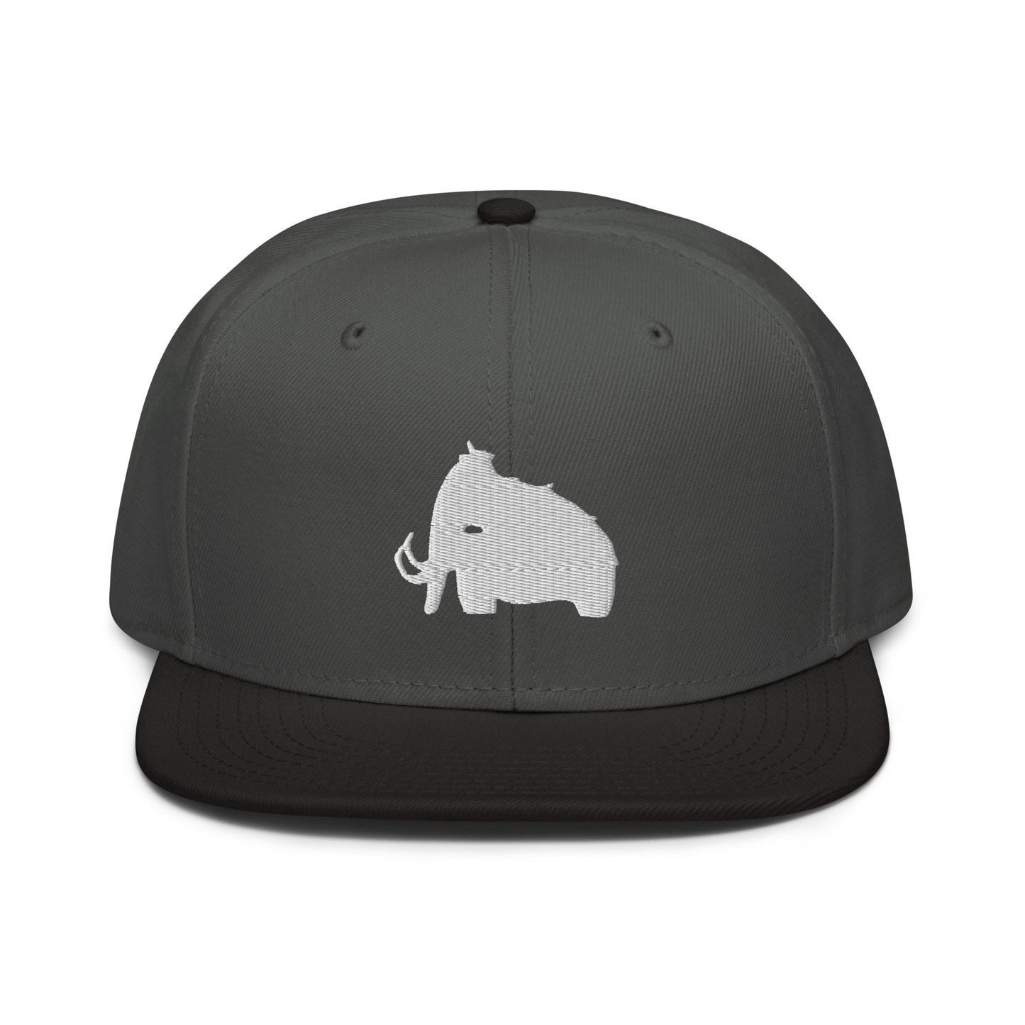 wooli embroidered snapback hat