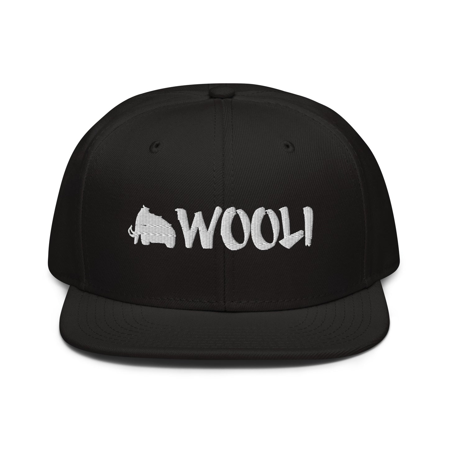 wooli embroidered snapback hat