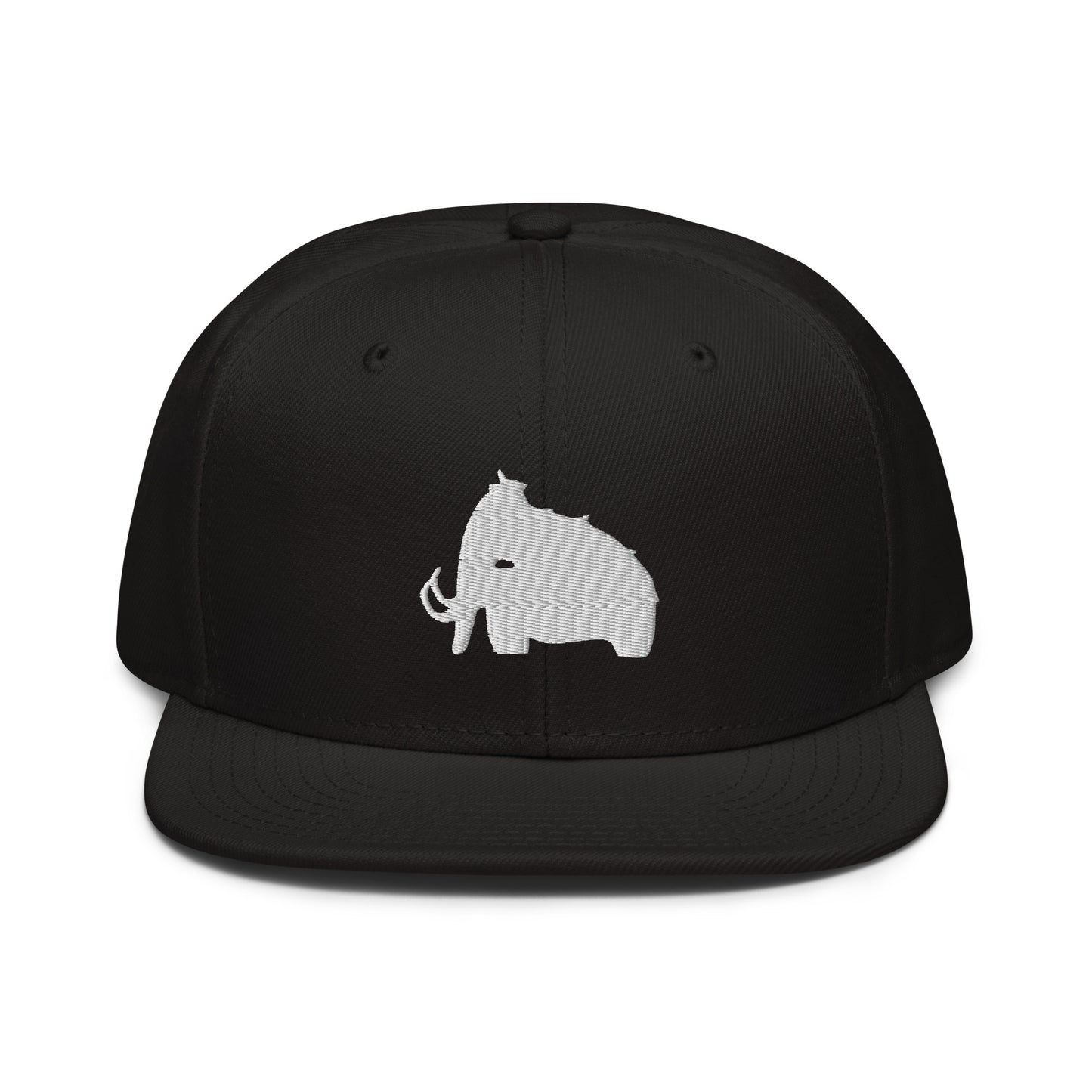 wooli embroidered snapback hat