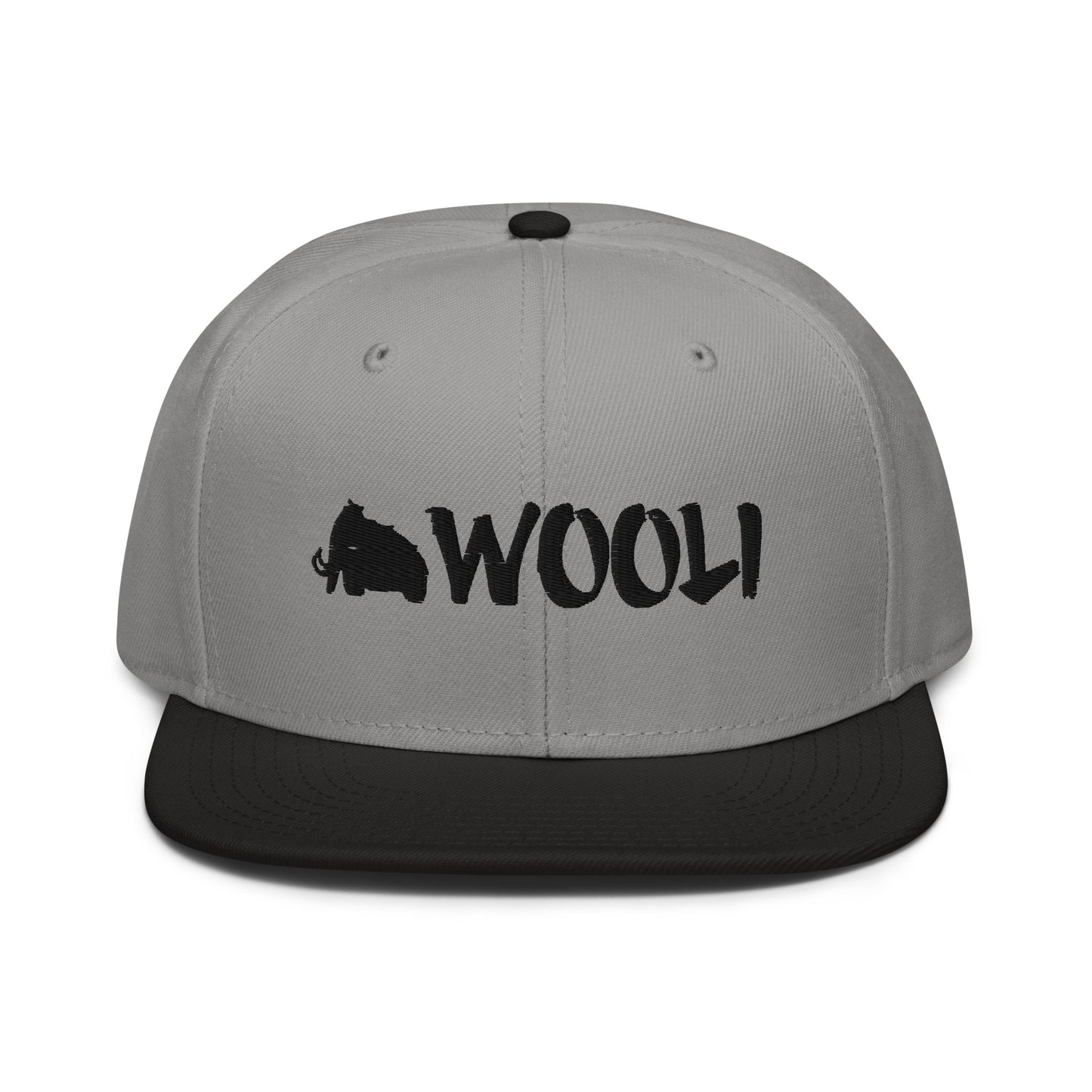 wooli embroidered snapback hat