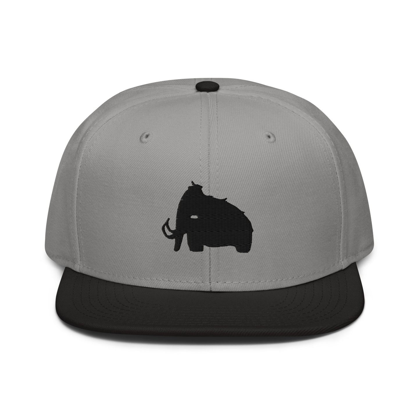 wooli embroidered snapback hat