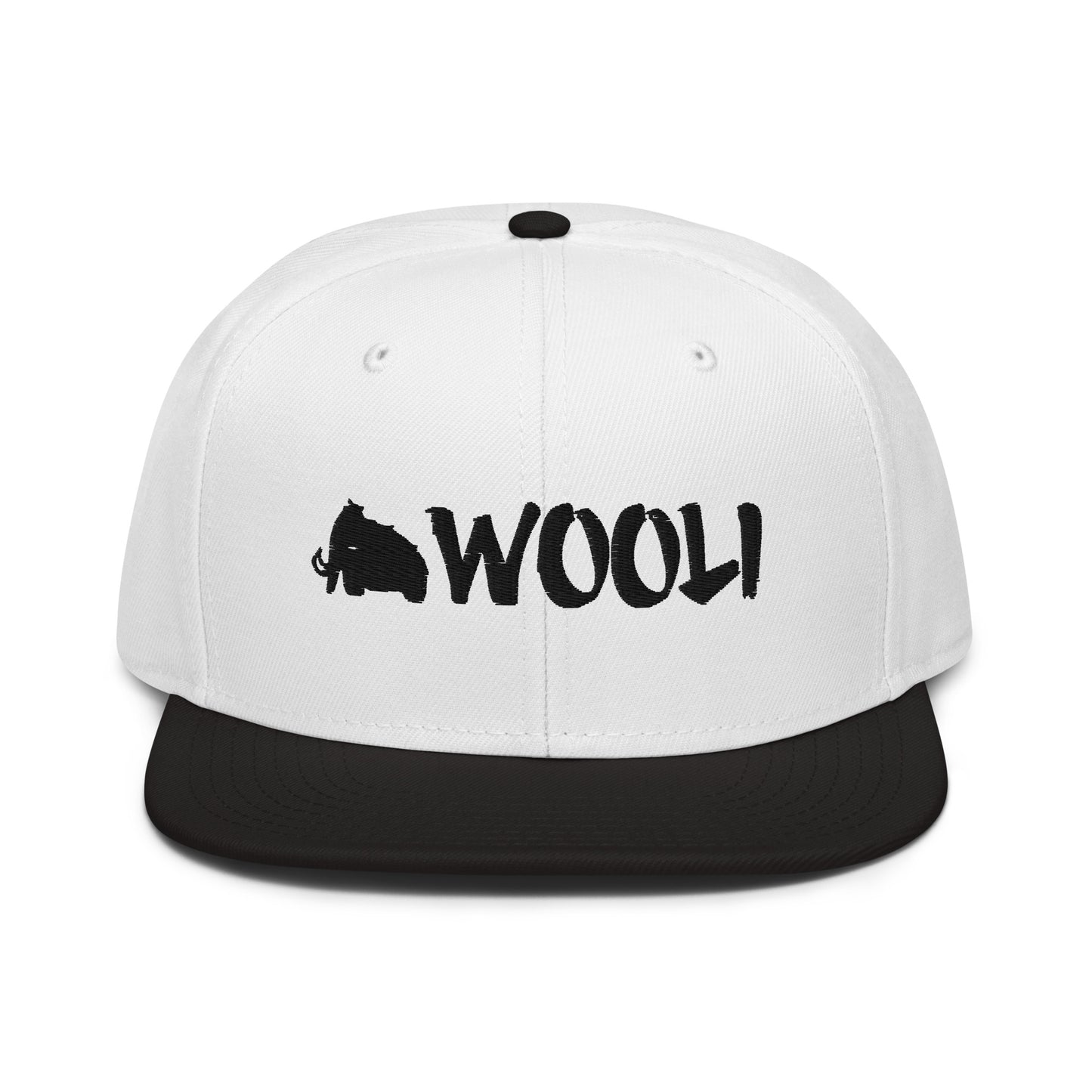 wooli embroidered snapback hat