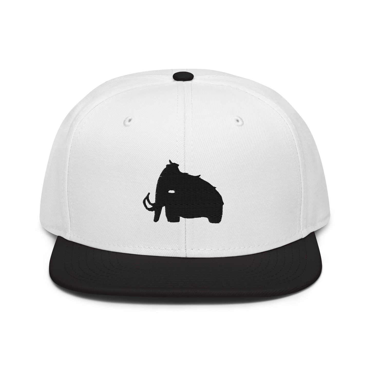 wooli embroidered snapback hat