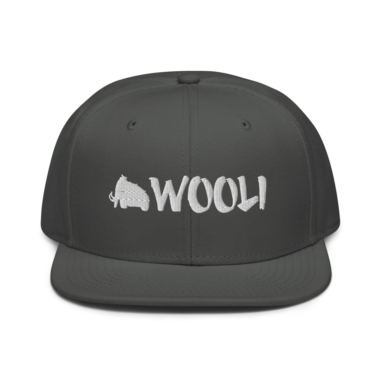 wooli embroidered snapback hat