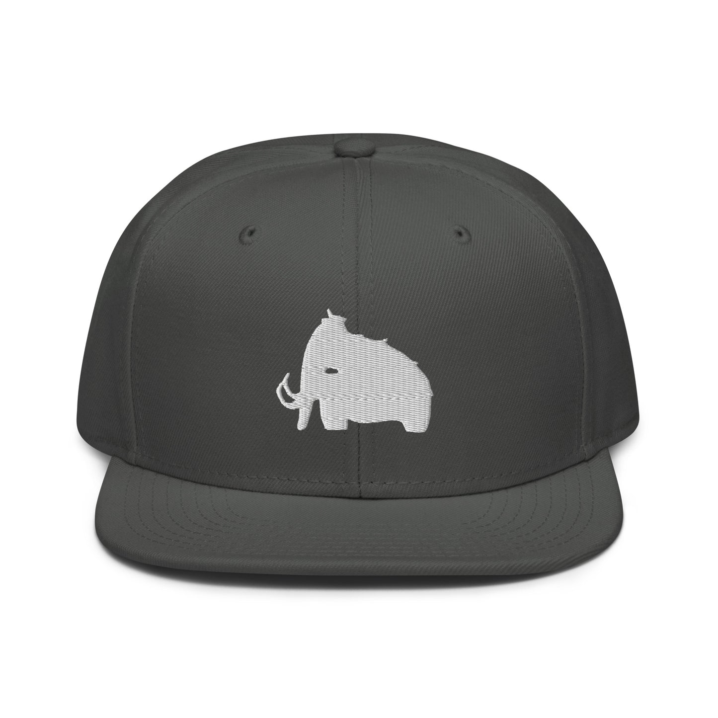 wooli embroidered snapback hat