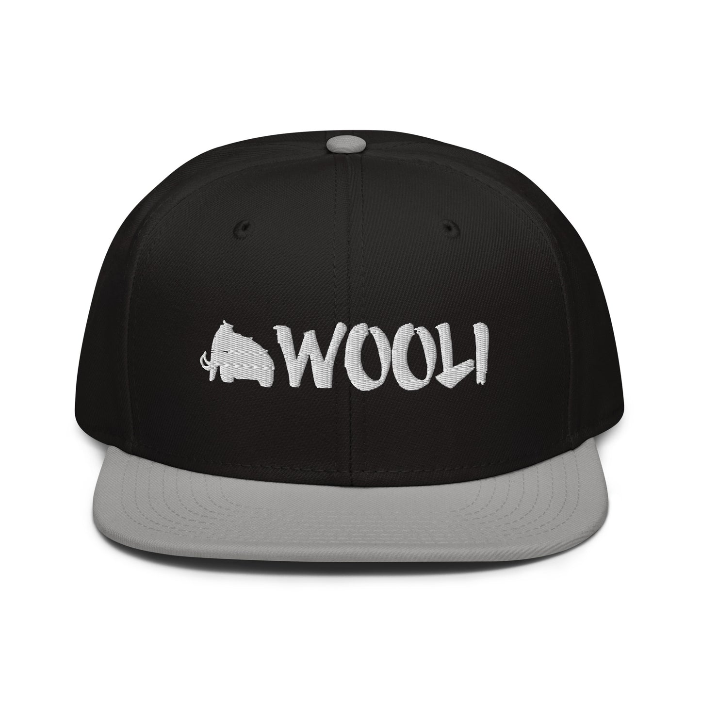 wooli embroidered snapback hat