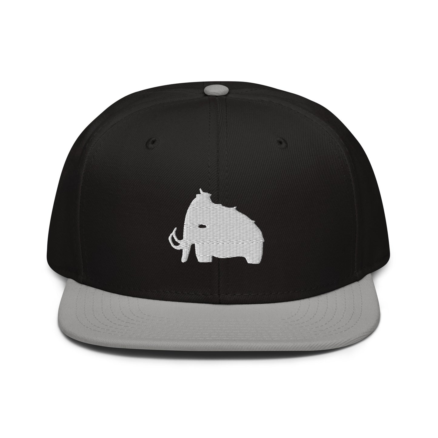 wooli embroidered snapback hat