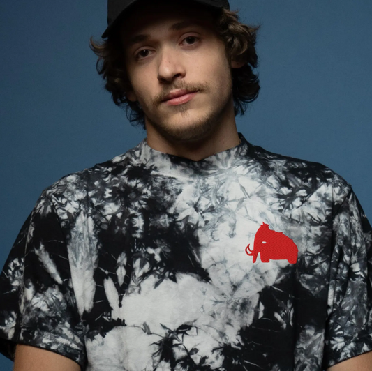 Wooli embroidered oversized tie-dye t-shirt