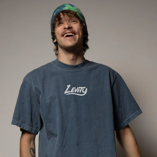 levity embroidered oversized faded t-shirt