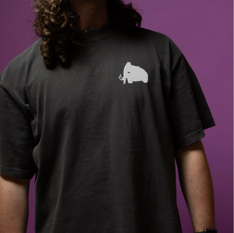 wooli embroidered oversized faded t-shirt