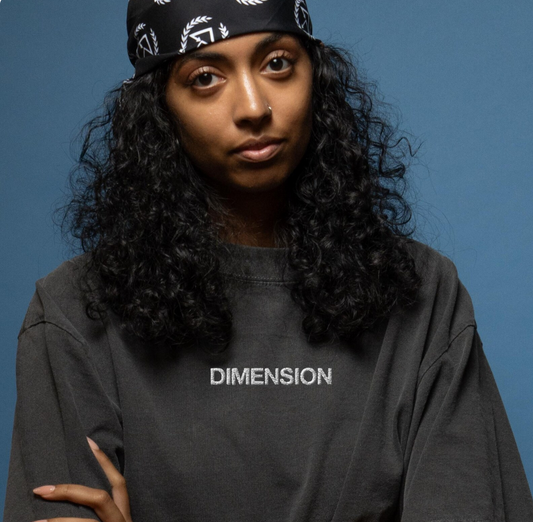 Dimension embroidered oversized faded t-shirt