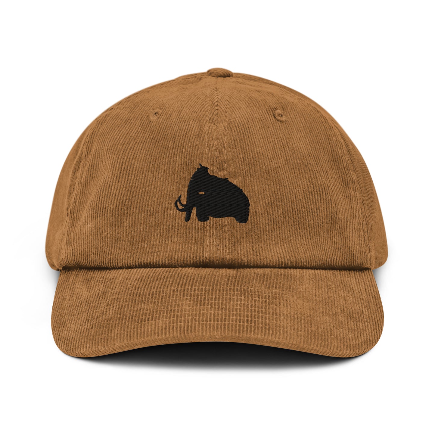 wooli embroidered corduroy hat